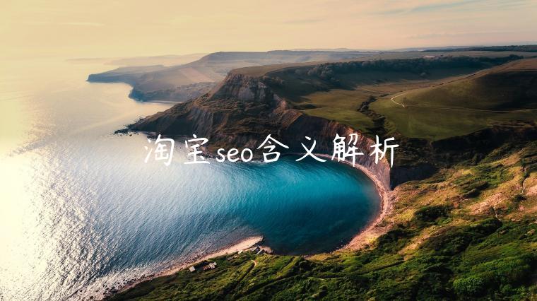 淘寶seo含義解析